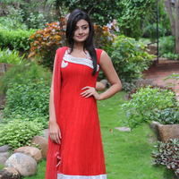 Nikitha Narayan New Pictures | Picture 68871